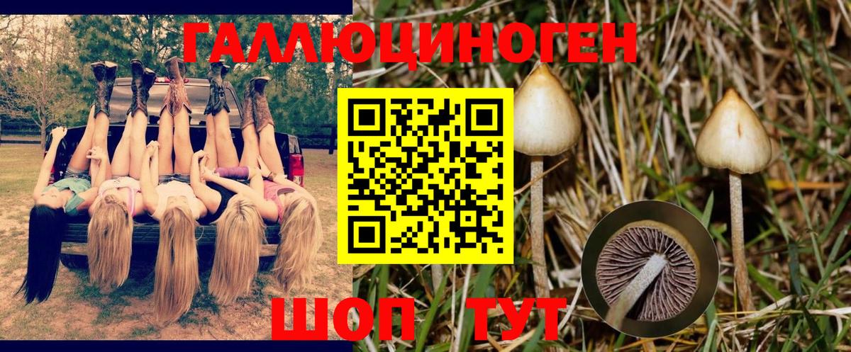 ГАШИШ  Мефедрон кристаллы  Бошки Шишки  Где купить  ЭКСТАЗИ  Сергиев Посад  Вход с VPN 