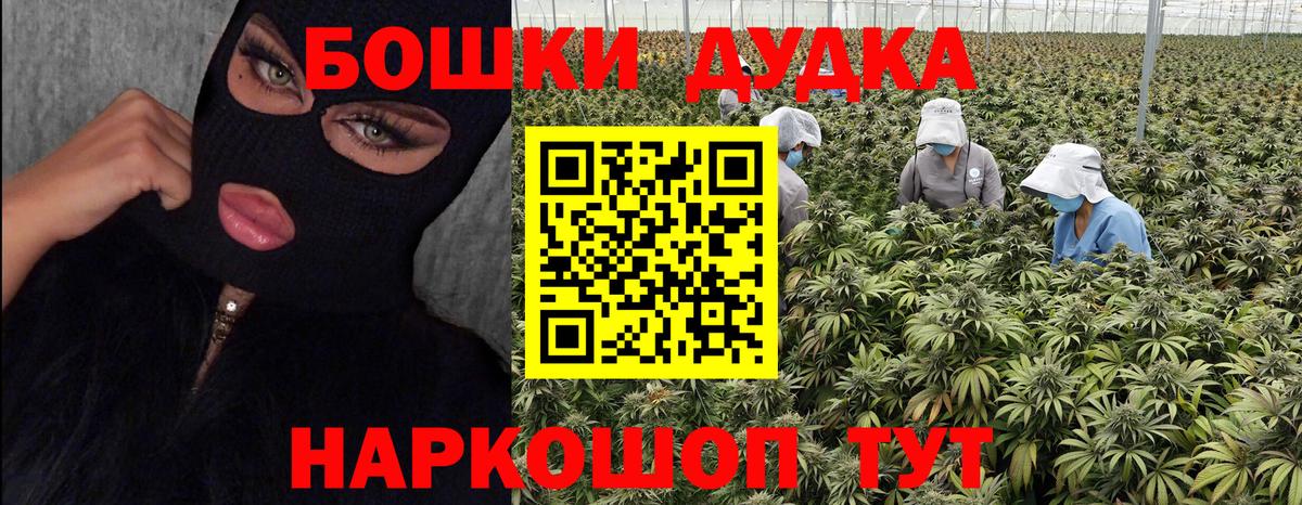 Шишки марихуана индика  Марихуана план  Шишки марихуана тримм  Сергиев Посад  Конопля тримм  Вход с VPN 